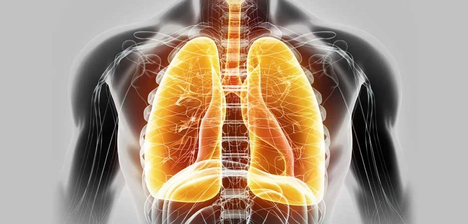 Kidney Yin and Yang Disharmony